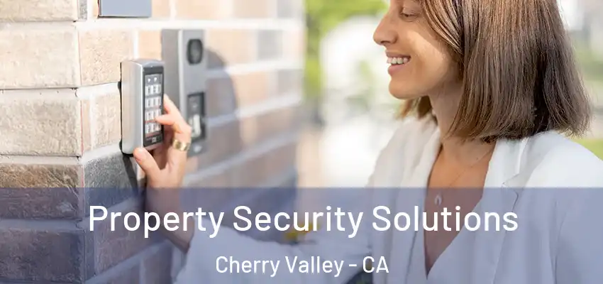  Property Security Solutions Cherry Valley - CA